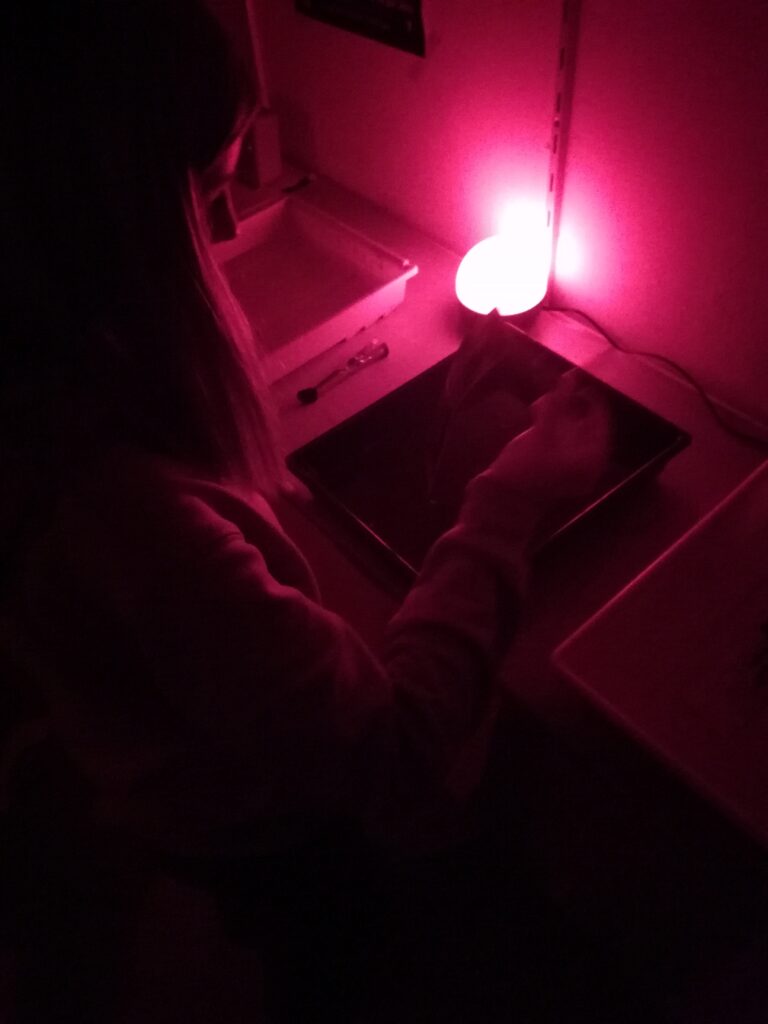 Atelier Super 8 de Tours développement photo argentique noir et blanc